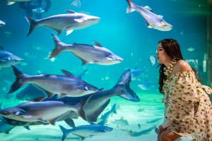 Aquarium